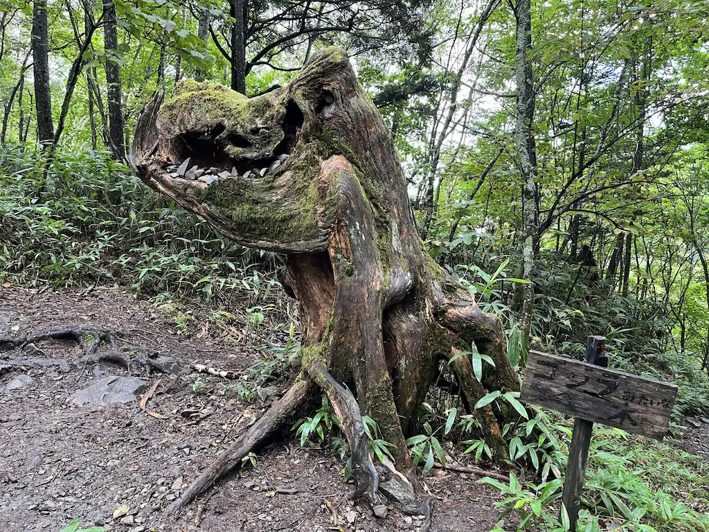 Godzilla tree